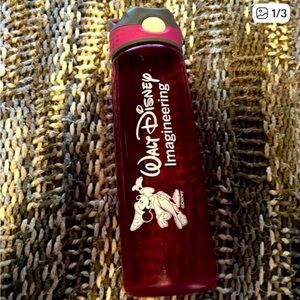 ON HOLD Disney Red Imagineering Bottle with Character Design